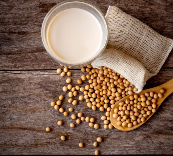 Soybean