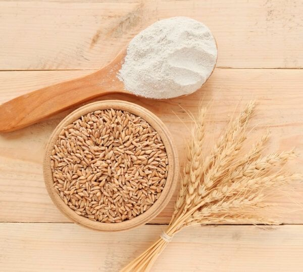 Wheat